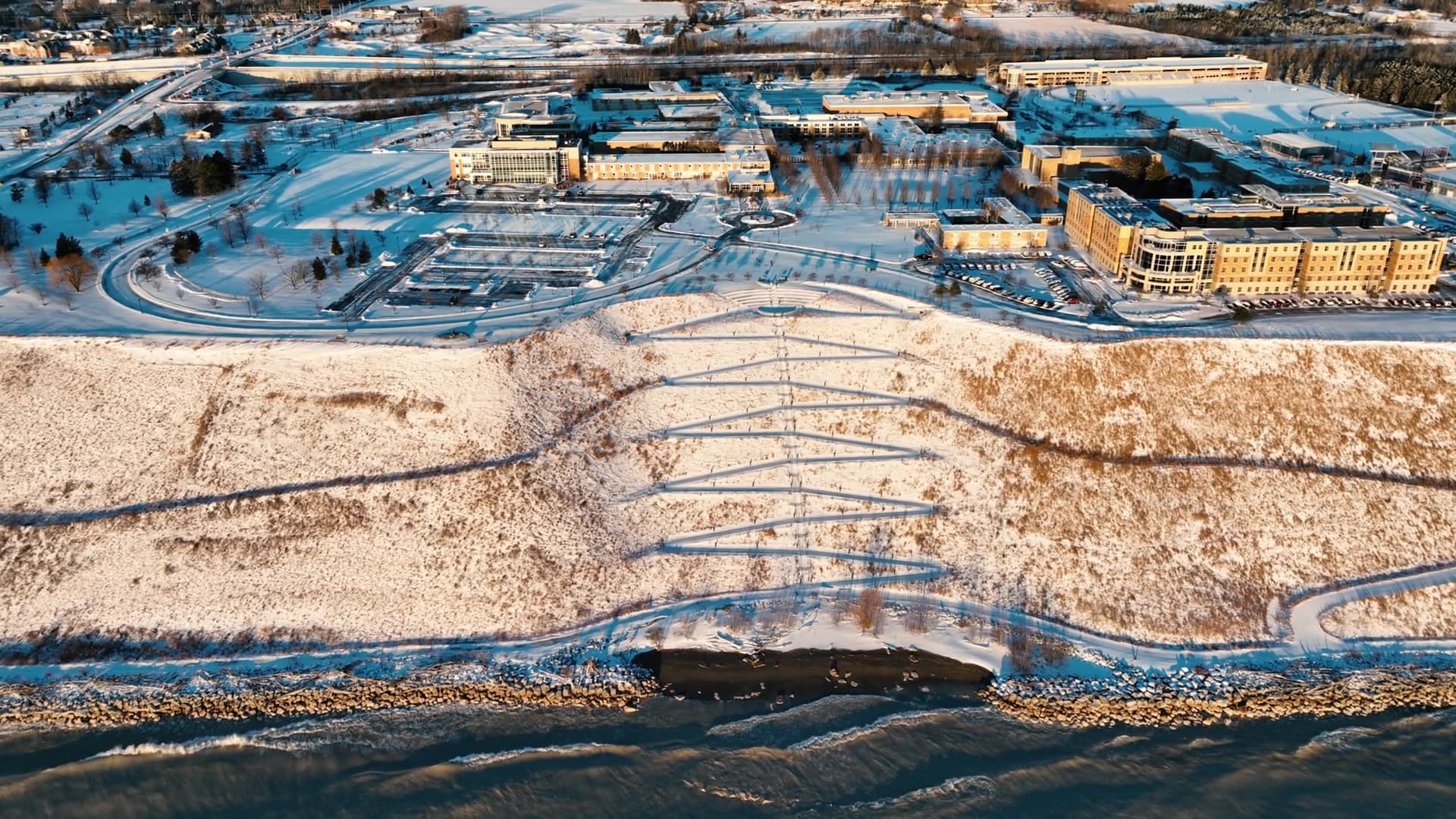 Portrait Series - Creators